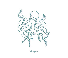 Octopus eight-limbed molluscs of the order Octopoda. Open paths. Editable stroke. Custom line thickness.