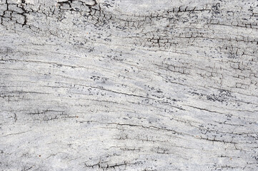 Obraz premium texture