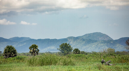Panorama landscape of the remote Imatong Mountains of South Sudan.