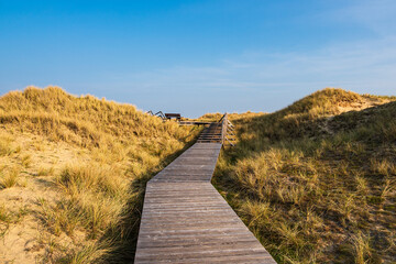 Landschaft in den Dünen bei Norddorf auf der Insel Amrum