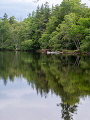 Fototapeta na wymiar forest lake reflection
