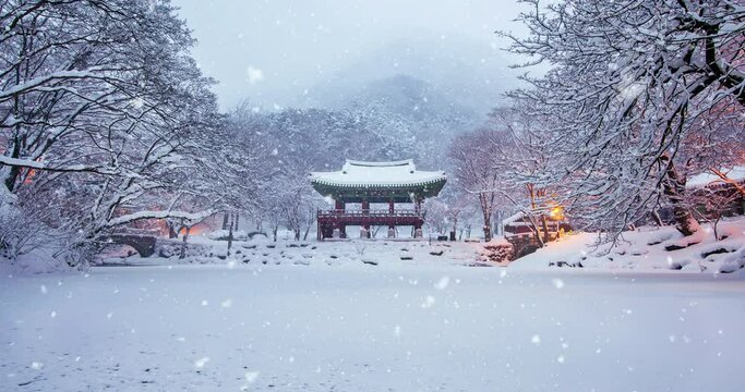 Falling snow at Baekyangsa temple in winter. South Korea.