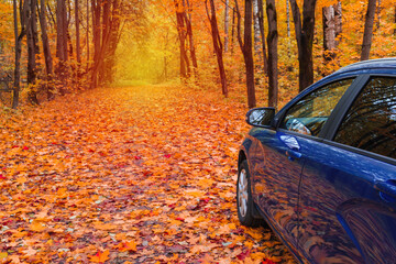 a blue car on an autumn road in the park, a tire on leaves, a travel concept