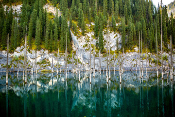 Lake Kaindy sunken forest in Kazakhstan. Beautiful mountain nature landscape. Blue lake Kolsai top...