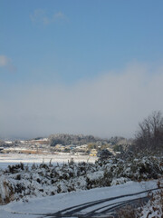 landscape with snow