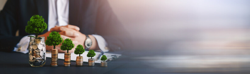 Businessman holding coin with tree growing on money coin stack.  Green business growth. Finance...