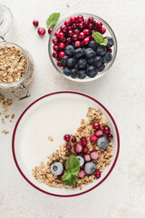 Greek yogurt with granola, fresh blueberries, cranberries and mint in a plate on a light background.