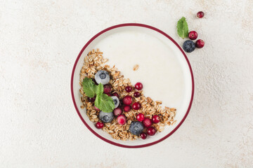 Greek yogurt with granola, fresh blueberries, cranberries and mint in a plate on a light background.