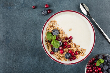 Greek yogurt with granola, fresh blueberries, cranberries and mint in a plate with a spoon on a dark blue background.