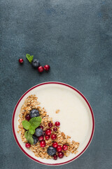 Greek yogurt with granola, fresh blueberries, cranberries and mint in a plate on a dark blue background.