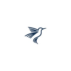 Flying Birds logo design vector template