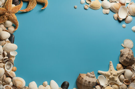 A frame with seashells and starfish on the light blue background