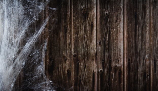 Spider web on wooden background. Halloween banner. Copy space. Selective focus.