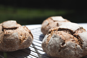 natural french bread
