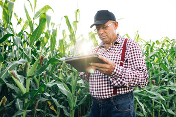 Farmer working in a cornfield, inspecting and tuning irrigation center pivot sprinkler system on tablet. Working in field harvesting crop. Agriculture concept