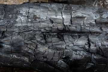 detail photo of large chunk of black almond wood charcoal on the garden floor