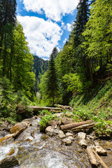 The waterfall cascade flows along the stone threshold, in a subtropical forest, long exposure....