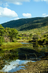 Fototapeta premium lagoons in Serra do Cipó, State of Minas Gerais, Brazil