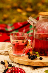 Autumn picnic in the park, hot autumn drink, berry tea on soft blanket , cozy autumn composition