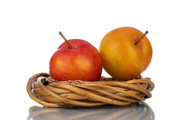 Two juicy organic yellow-red plums with a wreath of vines, close-up isolated on white.