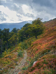 End of a dirt road among the picturesque autumn hills