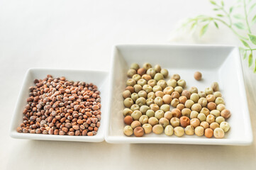 野菜の種　２種類　