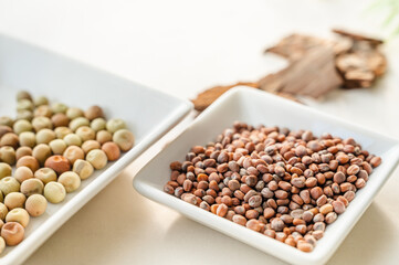 野菜の種　２種類　