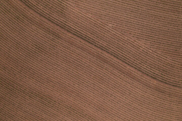 newly planted cane field seen from above - drone view