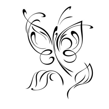 butterfly 15. decorative element with stylized butterfly and leaves. graphic decor