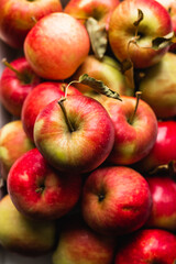 Lots of red ripe autumn apples. Healthy eating.