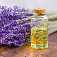 lavender oil with lavender