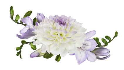 Purple freesia flowers and white dahlia in a floral arrangement isolated