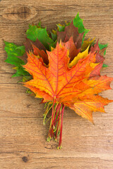autumn maple leaves on wooden background