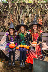 Obraz premium Happy Halloween! Three cute little laughing girls in witches costumes are coming to the house for sweets.
