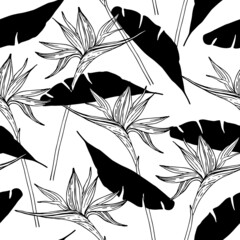 Abstract seamless pattern with tropical flowers leaves silhouette, line drawing