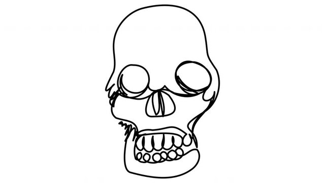 Self-drawing of a skull by one line on a white background. The symbol of death and fear. 4k animation with alpha channel for Halloween video whiteboard.