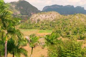 vinales