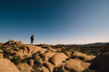 Joshua Tree National Park