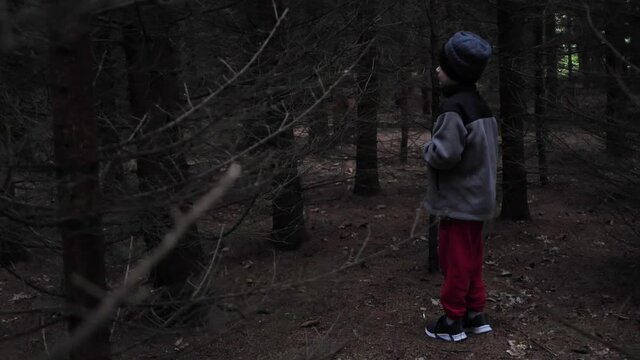 The little boy is lost in a dark forest. Cinematic Halloween film