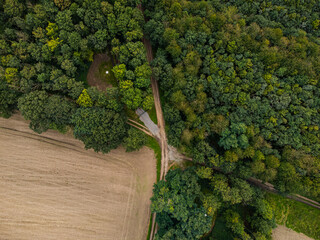 aerial photo of farming fields and trees