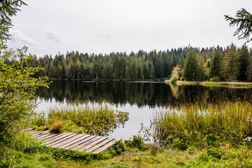 étang de la gruère, la gruère, See, Moorsee, Moor, Holzsteg, Hochmoor, Wanderweg, Spazierweg, Wald, Waldweg, Wasserpflanzen, Torfmoos, Jura, Naturschutz, Sommer, Herbst, Herbstfarben, Schweiz