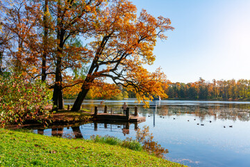 Autumn foliage in Catherine park, Pushkin (Tsarskoe Selo), Saint Petersburg, Russia