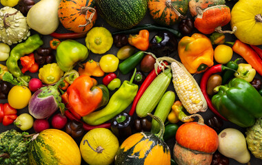Background with fresh autumn vegetables, organic healthy farm products