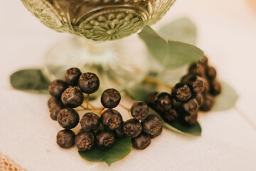 Harvest of ripe black chokeberry in glass bowl, useful berry prevention and treatment of coronavirus or COVID 19, antiviral natural product