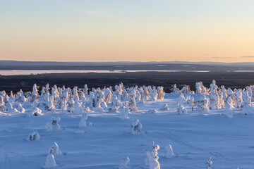 Fototapeta na wymiar Sunny winter evening on the top of the fell in Lapland, Riisitunturi