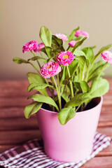 Artificial flowers in pink pot