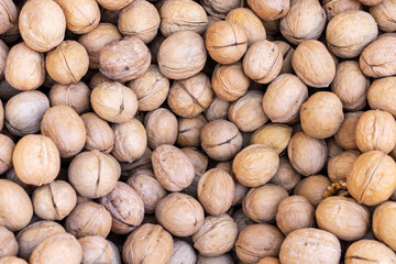 A pile of walnuts in the eastern bazaar.
