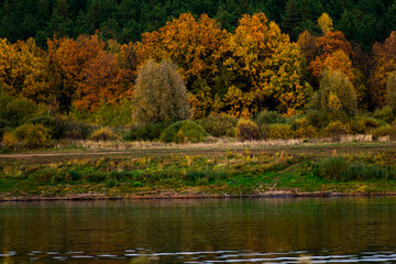 Fototapeta premium autumn in the park