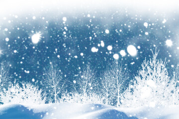  Greeting card. Frozen winter forest with snow covered trees.
