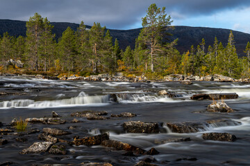 Fototapeta premium Norwegische Wasserläufe mit angrenzenden Wäldern